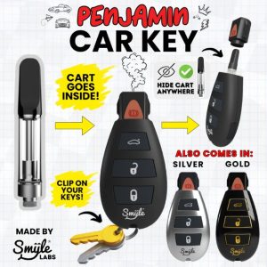 SMYLE PENJAMIN CAR KEY EDITION CARTRIDGE BATTERY 5CT/ BOX